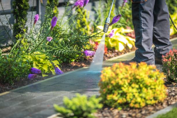 Best Residential Pressure Washing in Wakefield, VA
